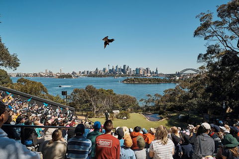 Sydney Taronga Zoo General Entry Ticket And Wild Australia Experience - Accommodation Great Ocean Road 18