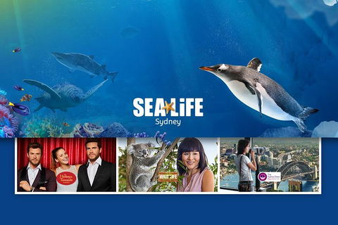 Sydney Attractions Pass: SEA LIFE Aquarium, Sydney Tower Eye, WILD LIFE Zoo And Madame Tussauds - Accommodation Great Ocean Road 0