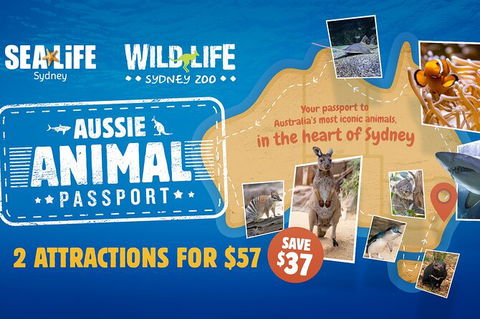 Sydney Attractions Pass: SEA LIFE Aquarium, Sydney Tower Eye, WILD LIFE Zoo And Madame Tussauds - Accommodation Great Ocean Road 4
