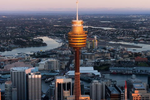 Sydney Attractions Pass: SEA LIFE Aquarium, Sydney Tower Eye, WILD LIFE Zoo And Madame Tussauds - Accommodation Great Ocean Road 8