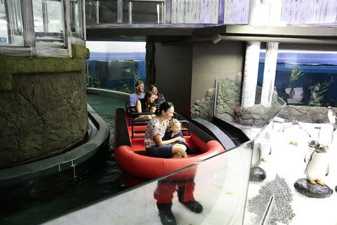 Sydney Attractions Pass: SEA LIFE Aquarium, Sydney Tower Eye, WILD LIFE Zoo And Madame Tussauds - Accommodation Great Ocean Road 6