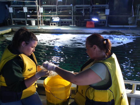 SEA LIFE Sydney Aquarium Entrance Ticket - Accommodation Great Ocean Road 14
