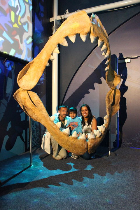 SEA LIFE Sydney Aquarium Entrance Ticket - Accommodation Great Ocean Road 6