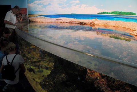 SEA LIFE Sydney Aquarium Entrance Ticket - Accommodation Great Ocean Road 24