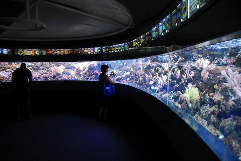 SEA LIFE Sydney Aquarium Entrance Ticket - Accommodation Great Ocean Road 23