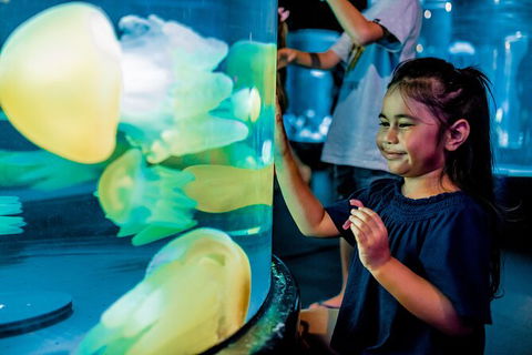 SEA LIFE Sydney Aquarium Entrance Ticket - Accommodation Great Ocean Road 26