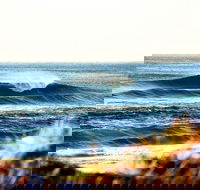 7-Day Byron Bay Evans Head and Moonee Beach Surf Safari from Brisbane Gold Coast or Byron Bay - Accommodation Great Ocean Road