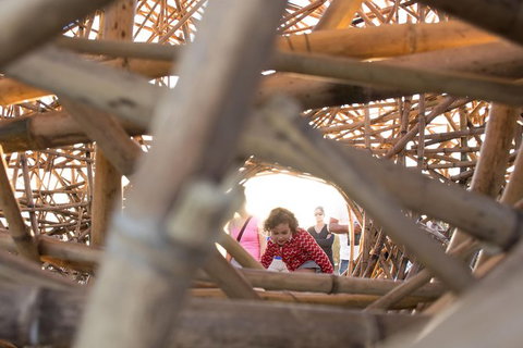 Family Day In Sydney With A Local: Private & Personalized - Accommodation Great Ocean Road 7