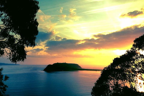 Palm Beach And Pittwater Kayak Tours - Accommodation Great Ocean Road 0