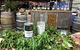 Northern Rivers Distillery Tour From Byron Bay, Kingscliff Or The Gold Coast - thumb 1