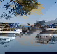 Tweed River and Rainforest Eco Cruise - Accommodation Great Ocean Road