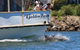 Tweed River And Rainforest Eco Cruise - thumb 2