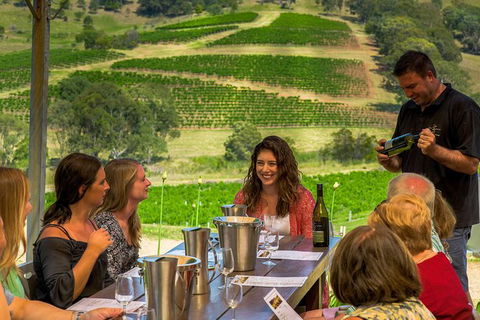 Private Luxury Tour: Hunter Valley Wineries With Cheese, Chocolate, Gourmet Food - Accommodation Great Ocean Road 0