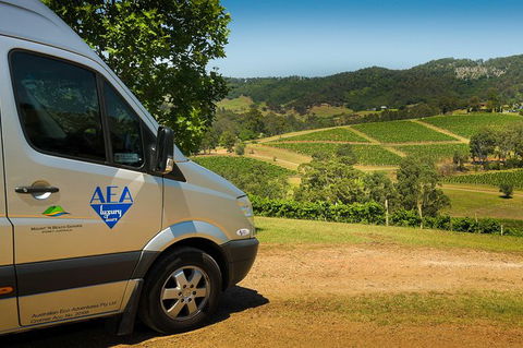 Private Luxury Tour: Hunter Valley Wineries With Cheese, Chocolate, Gourmet Food - Accommodation Great Ocean Road 4