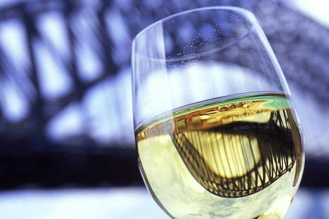 Water Limousines Sparking Wine Sunset Cruise Sydney Harbour - Accommodation Great Ocean Road 0