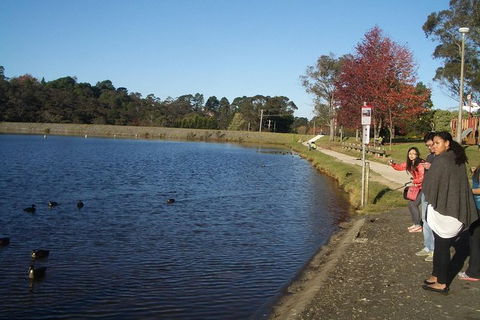All-Day Blue Mountains Private Tour With Professional Guide For Up To 4 People - Accommodation Great Ocean Road 24