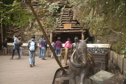 All-Day Blue Mountains Private Tour With Professional Guide For Up To 4 People - Accommodation Great Ocean Road 9