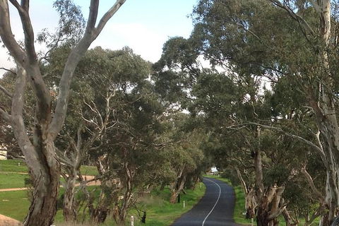 All-Day Blue Mountains Private Tour With Professional Guide For Up To 4 People - Accommodation Great Ocean Road 22