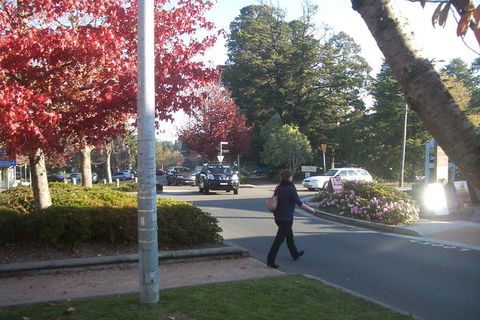 All-Day Blue Mountains Private Tour With Professional Guide For Up To 4 People - Accommodation Great Ocean Road 12
