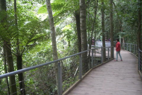 All-Day Blue Mountains Private Tour With Professional Guide For Up To 4 People - Accommodation Great Ocean Road 20