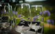 2-Day Hunter Valley Small-Group Tasting Tour - thumb 1