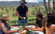 Luxury Blue Mountains Tour With Aussie BBQ Lunch And Wine Tasting - thumb 0