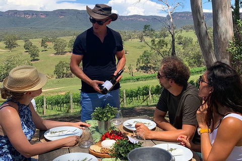 Luxury Blue Mountains Tour With Aussie BBQ Lunch And Wine Tasting - Accommodation Great Ocean Road 0