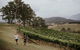 Luxury Blue Mountains Tour With Aussie BBQ Lunch And Wine Tasting - thumb 20