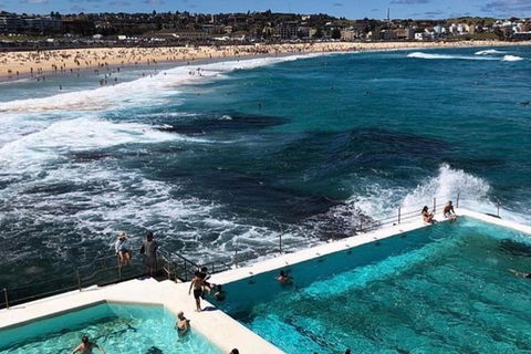 Luxury Blue Mountains Tour With Aussie BBQ Lunch And Wine Tasting - Accommodation Great Ocean Road 8