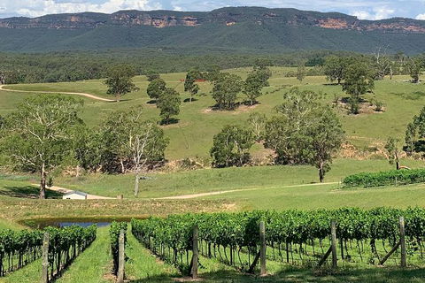 Luxury Blue Mountains Tour With Aussie BBQ Lunch And Wine Tasting - Accommodation Great Ocean Road 5