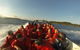 Sydney Harbour Jet Boat Thrill Ride: 30 Minutes - thumb 12
