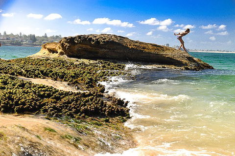 South Coast Private Bucket List Full Day Tour - Accommodation Great Ocean Road 1