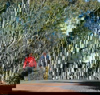 Arthur River - Accommodation Great Ocean Road