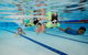 East Maitland Aquatic Centre - thumb 1