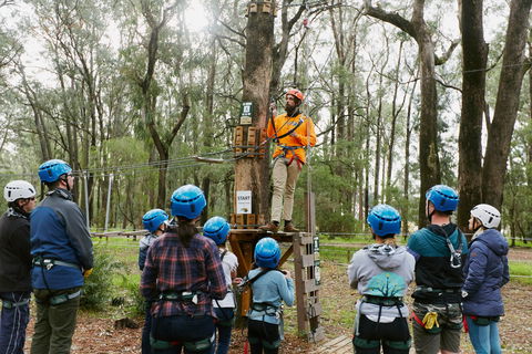 Forest Adventures South West - Accommodation Great Ocean Road 0