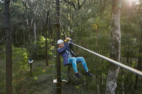 Forest Adventures South West - Accommodation Great Ocean Road 2