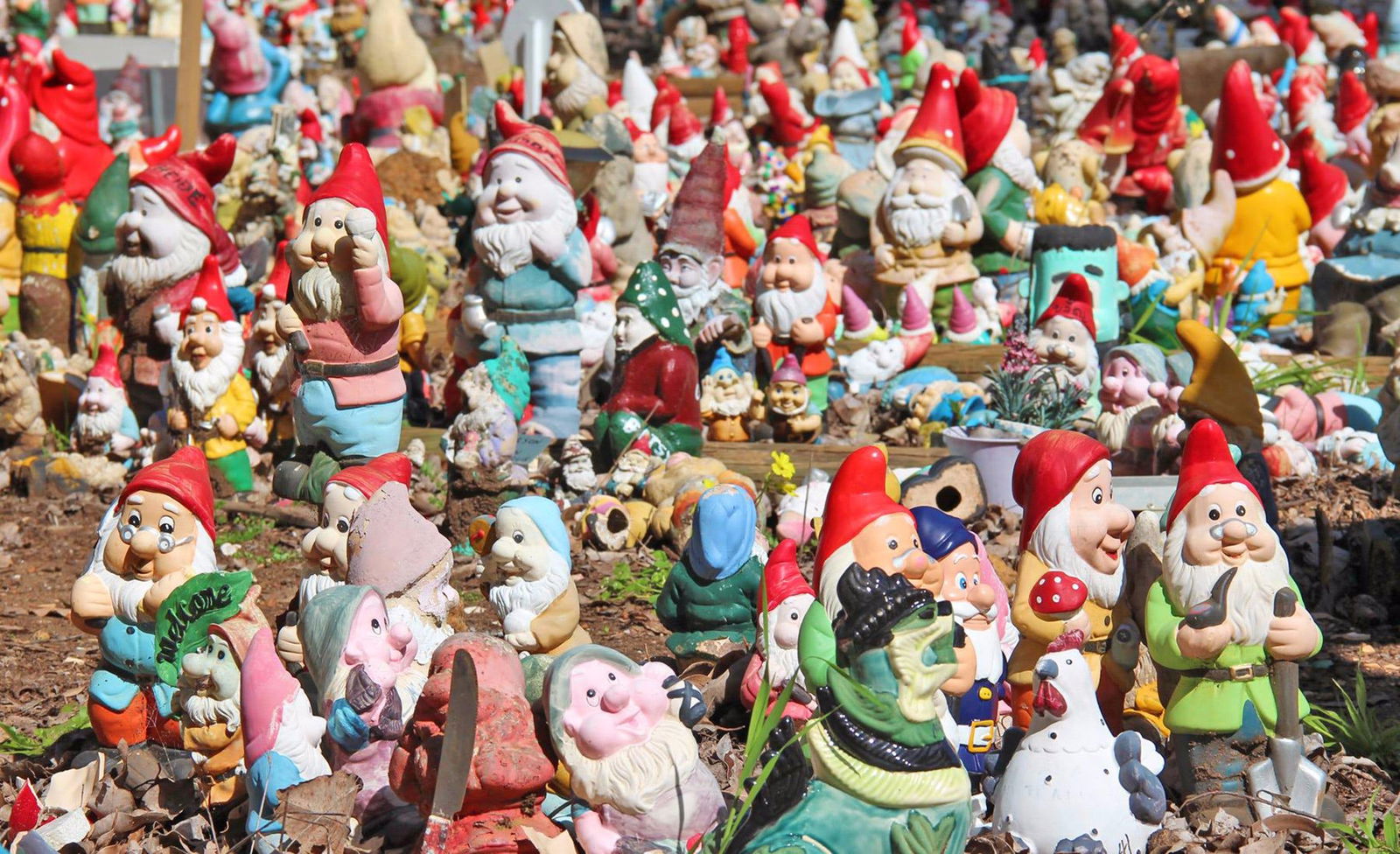 Wellington Mill WA Accommodation Great Ocean Road