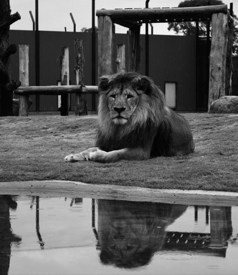 Hunter Valley Zoo - Accommodation Great Ocean Road 0
