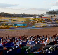 Ipswich Motorsport Precinct - Accommodation Great Ocean Road