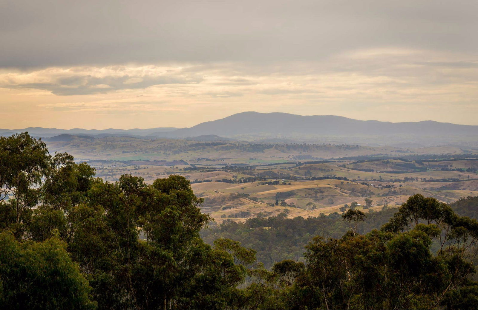 Myrtle Mountain NSW Accommodation Great Ocean Road