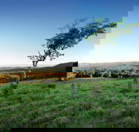 Ravensbourne National Park - Accommodation Great Ocean Road