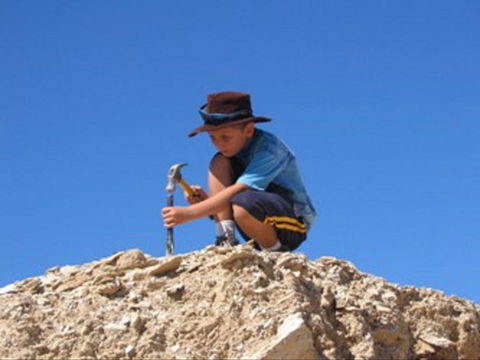 Richmond Fossil Hunting Sites - Accommodation Great Ocean Road 0