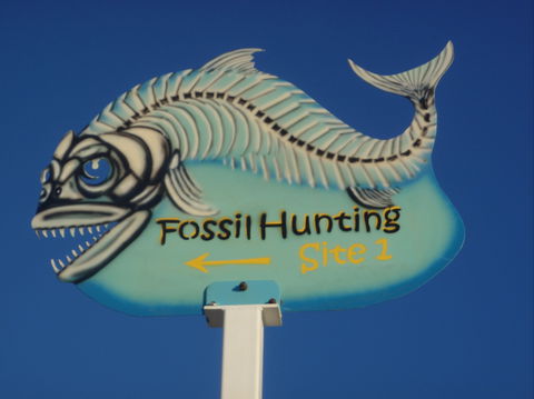 Richmond Fossil Hunting Sites - Accommodation Great Ocean Road 1