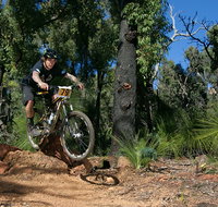 Scorpion Trail Kalamunda Mountain Bike Trails - Accommodation Great Ocean Road