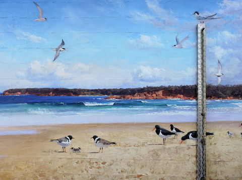 Shoalhaven Toilet Mural Tour - Accommodation Great Ocean Road 2