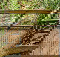 Somersby Falls walking track - Accommodation Great Ocean Road