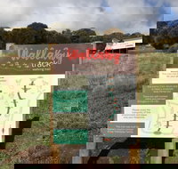 The Wallaby Track - Accommodation Great Ocean Road