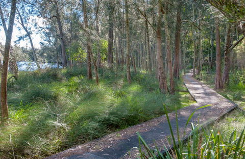 Anabranch Loop Track - Accommodation Great Ocean Road 0