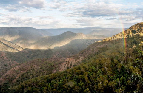 Badgerys Spur Walking Track - Accommodation Great Ocean Road 0