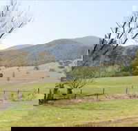 Banimboola Creek Rest Area - Accommodation Great Ocean Road